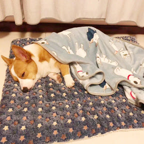 Tapete Mágico fofo para Cães e Gatos